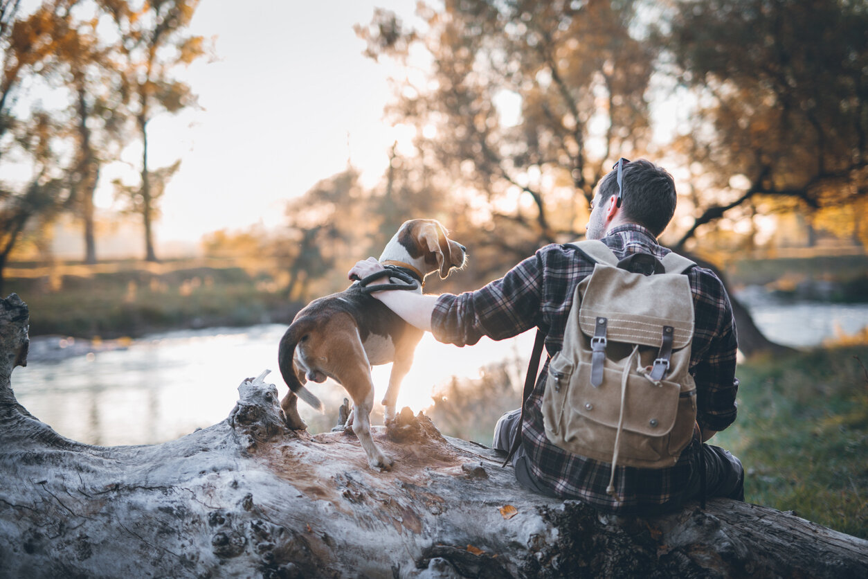 PHOTO: Enjoy outdoor adventures with your dog in Ruidoso