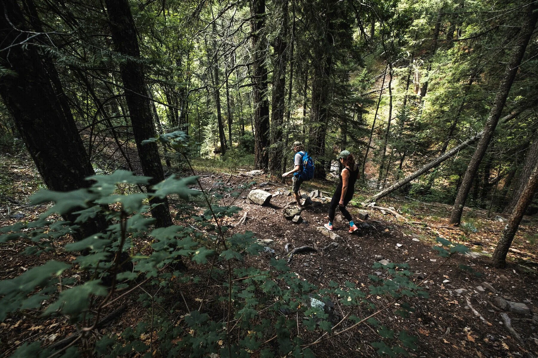 A Walk In The Woods: Ruidoso’s forests offer a natural antidote to stress.