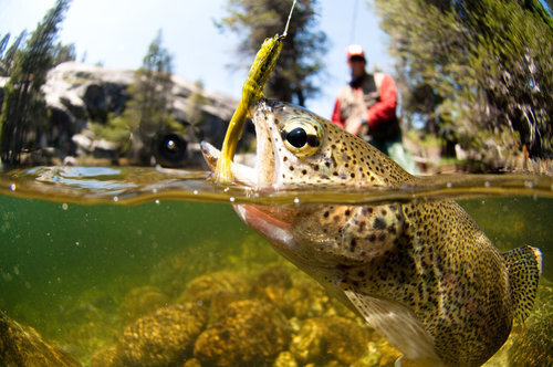  One of the nicest things about fishing in Ruidoso, New Mexico is the year-round season for most waters. 