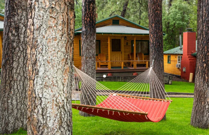Photograph of vacation rental cabins with a hammock hung between two trees.