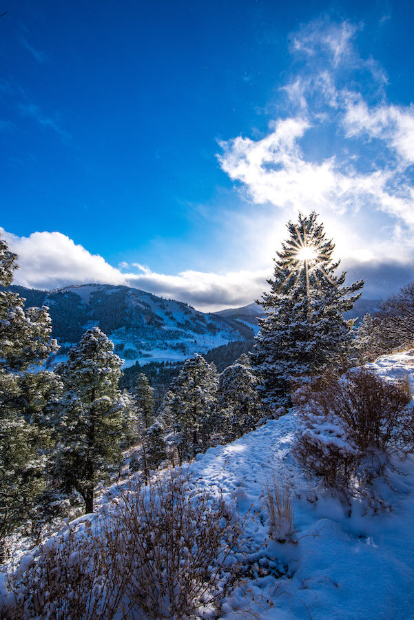 Ruidoso Mountain Scenic Winter DSC_4724_small.jpeg