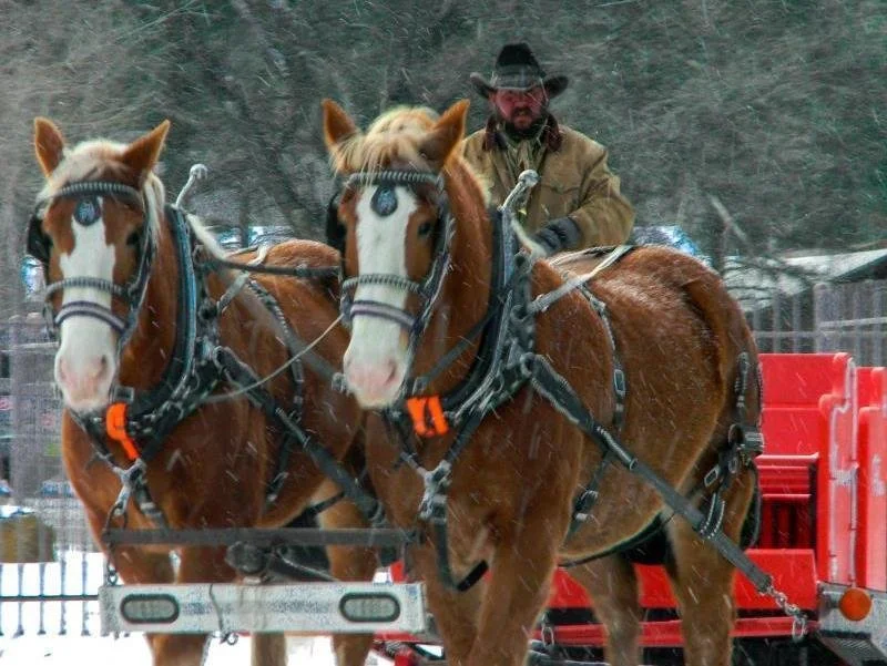 Grindstone Stables Sleigh Rides Opening Weekend