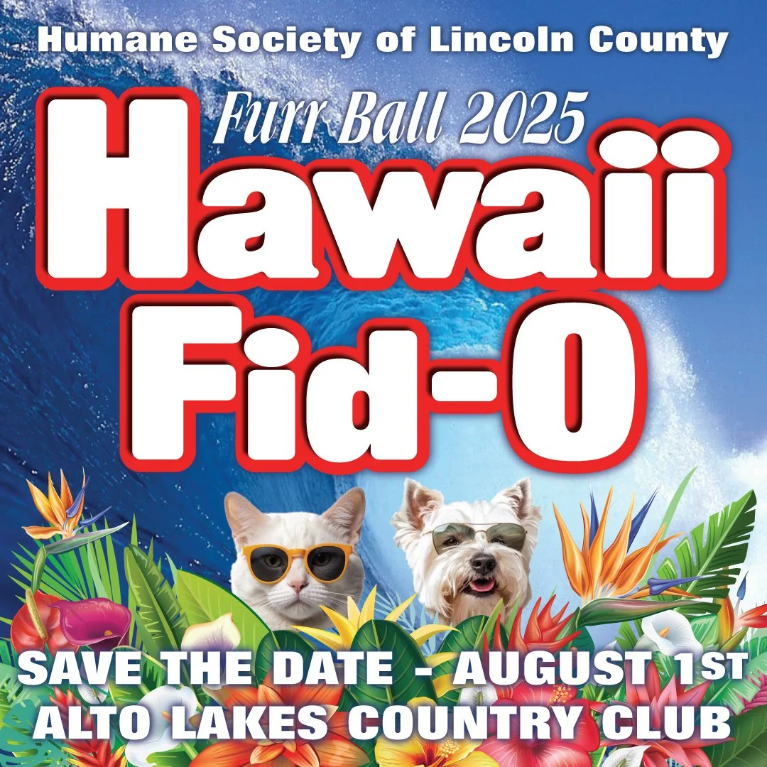 Humane Society of Lincoln County FurrBall 2025