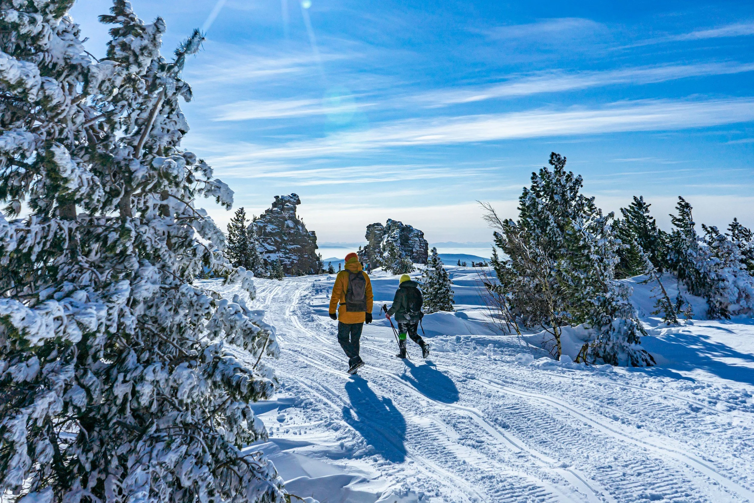 Photograph of couple walking in snowy forested landscape.