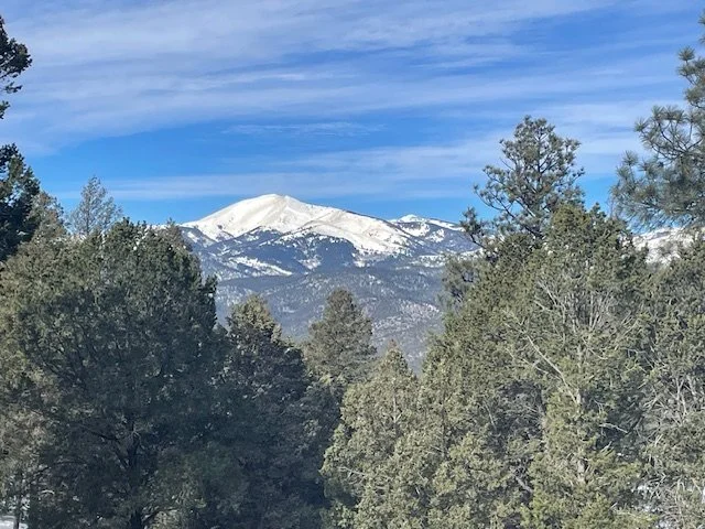 View from Back Deck_1096.jpg