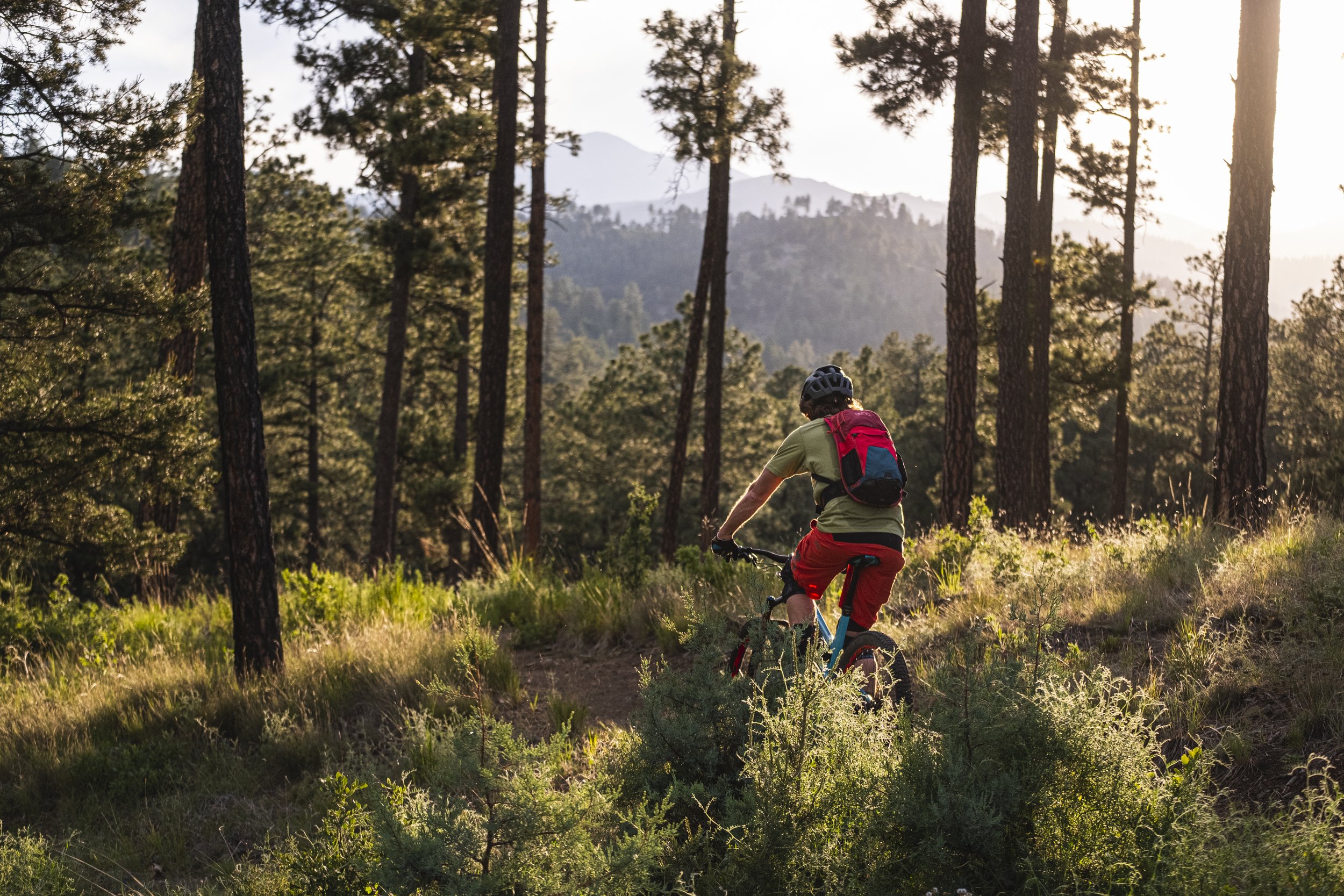 mtn bike in grass.jpg