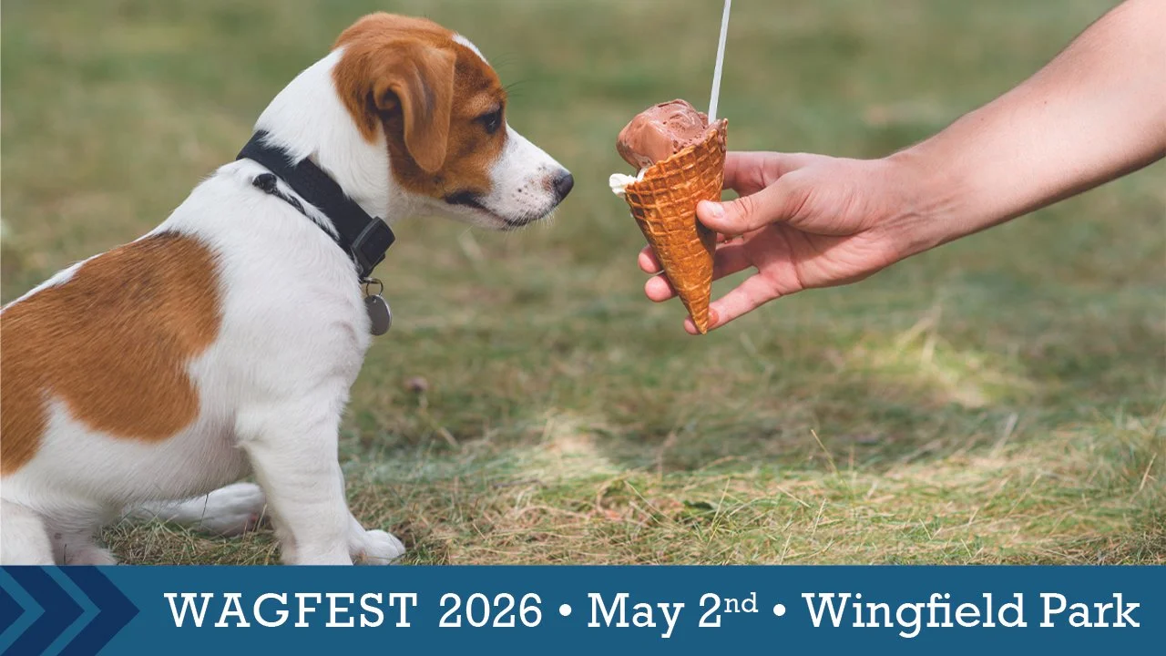 WagFest 2026 at Wingfield Park: Ice Cream Krank-off &amp; Pet Parade