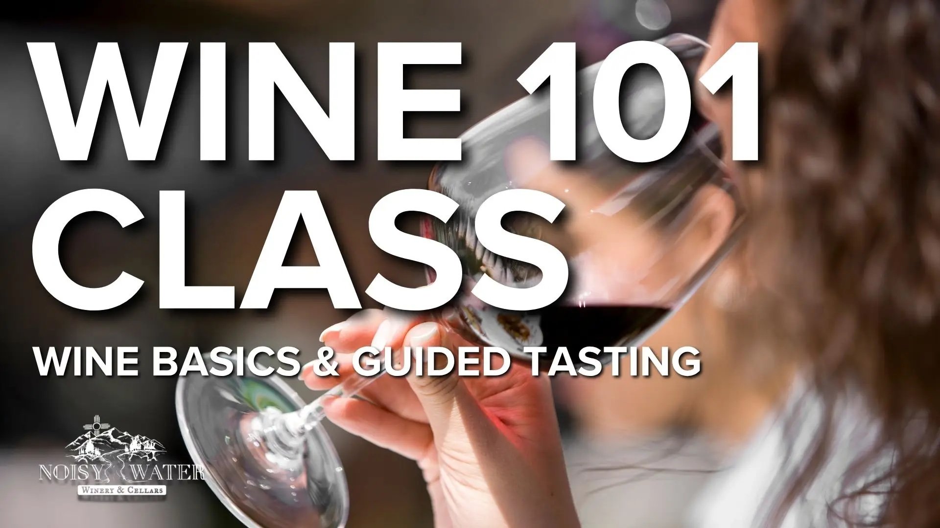 Wine 101 Class at Noisy Water Winery