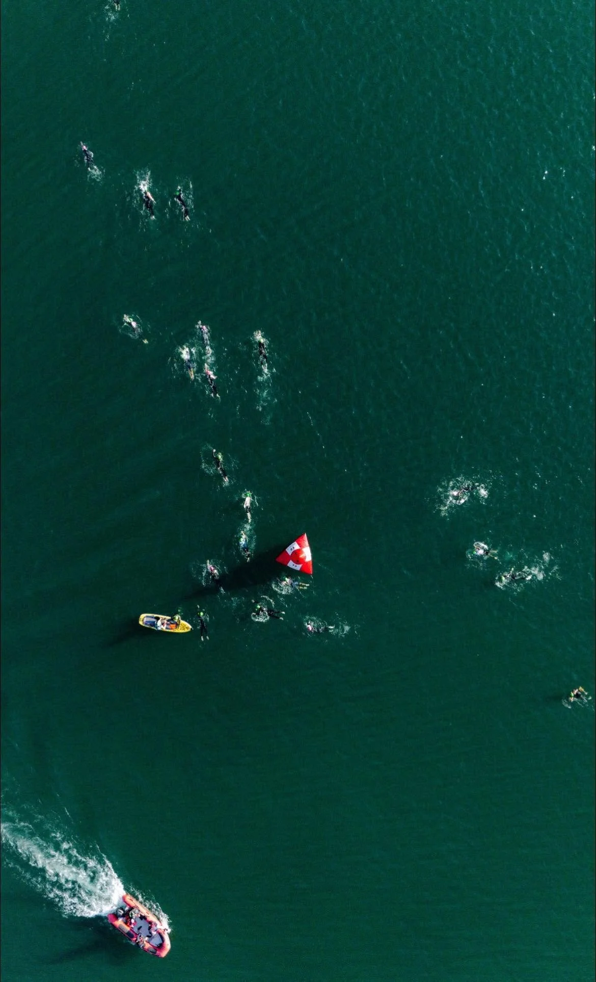 Aerial Swim