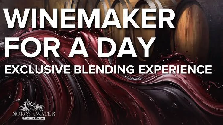 Winemaker for a Day: Exclusive Blending Experience at Enchanted Vine