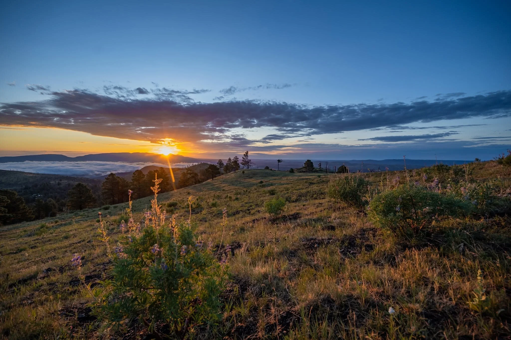 Beyond the Finish Line: Explore the Places That Inspired IRONMAN Creators in Ruidoso