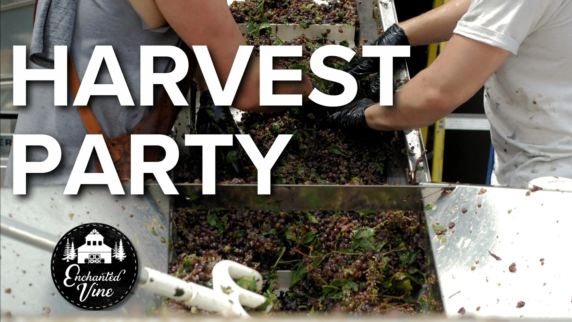 Harvest Party at Enchanted Vine