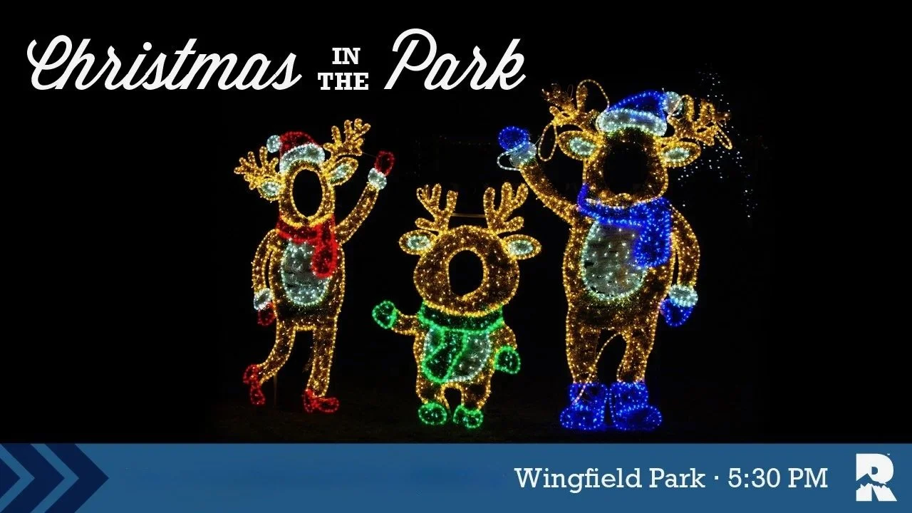 Christmas In The Park