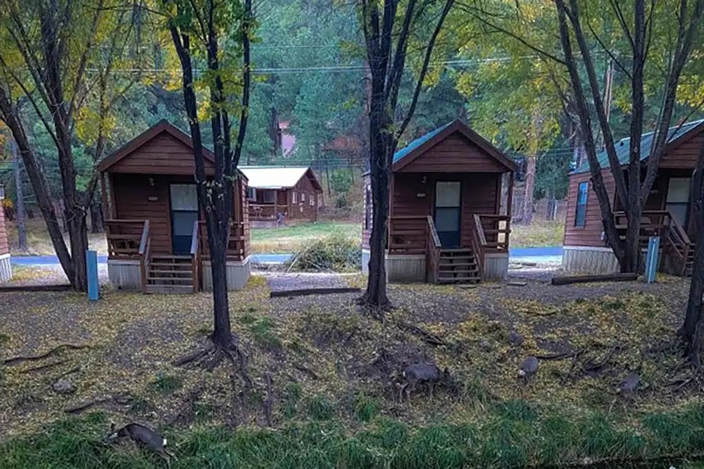 w003k-home_tiles_cabins2-1024x682.jpg.jpeg