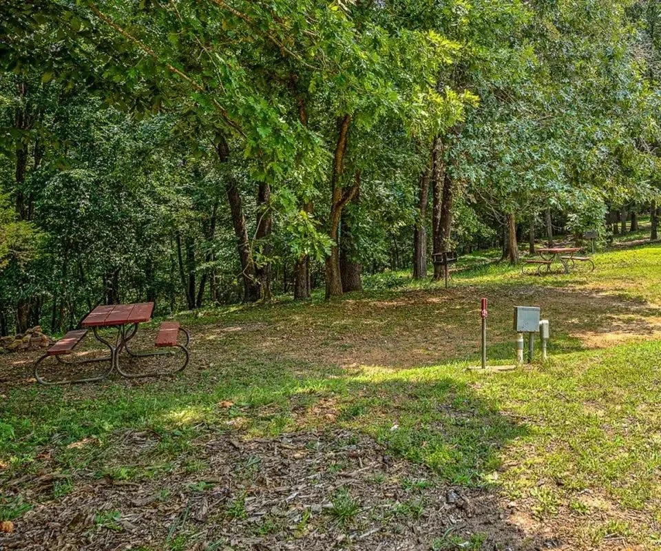 qbs5r-amenities_picnic-960x800-1.jpg.jpeg