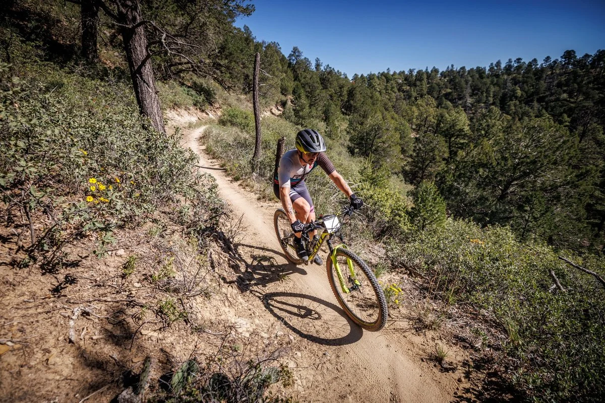 Mountain bike: 