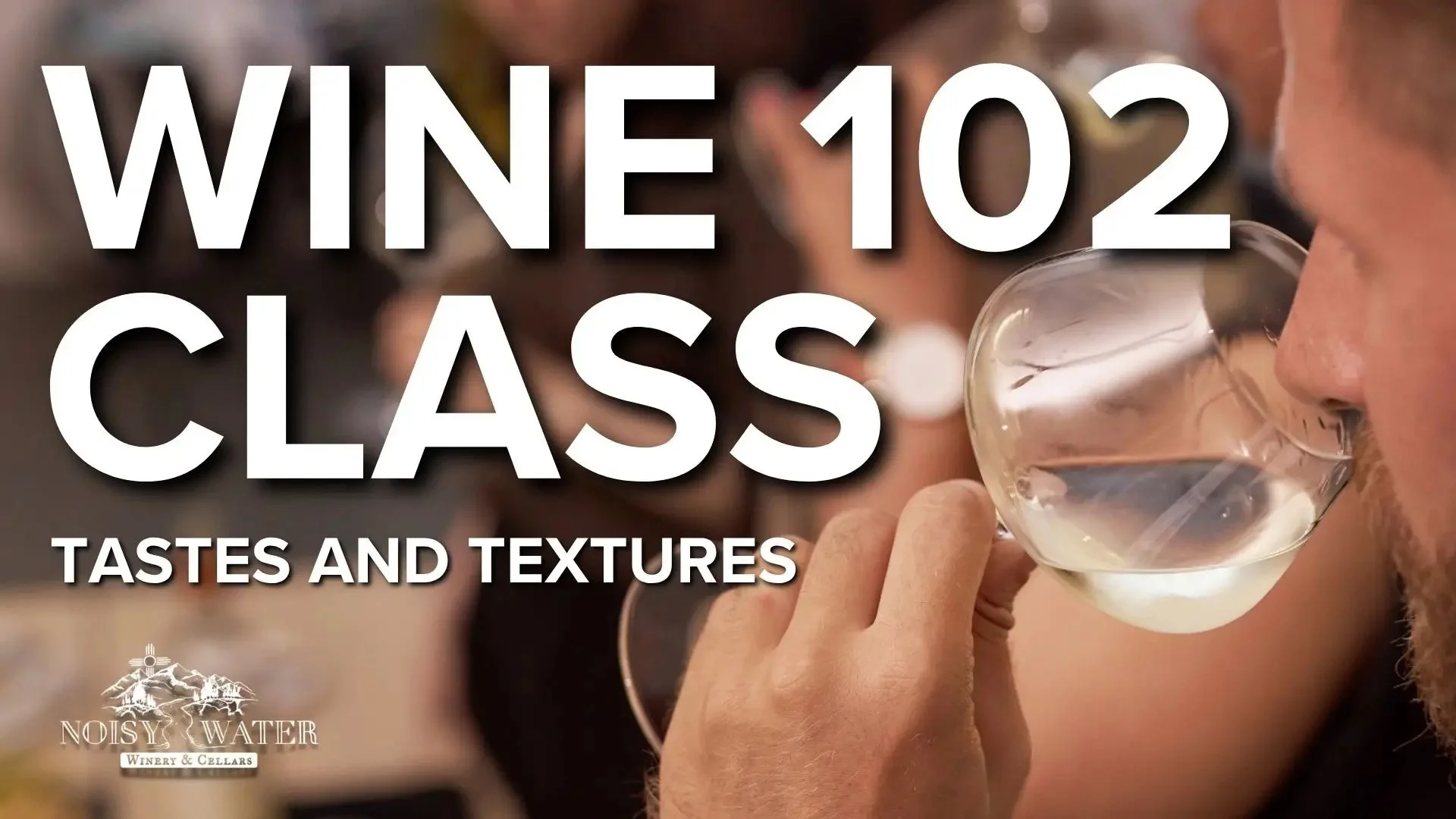 Promotional graphic for Wine 102: Tastes and Textures at the Library featuring a close-up of a person tasting white wine at a winery event, with the Noisy Water Winery & Cellars logo.