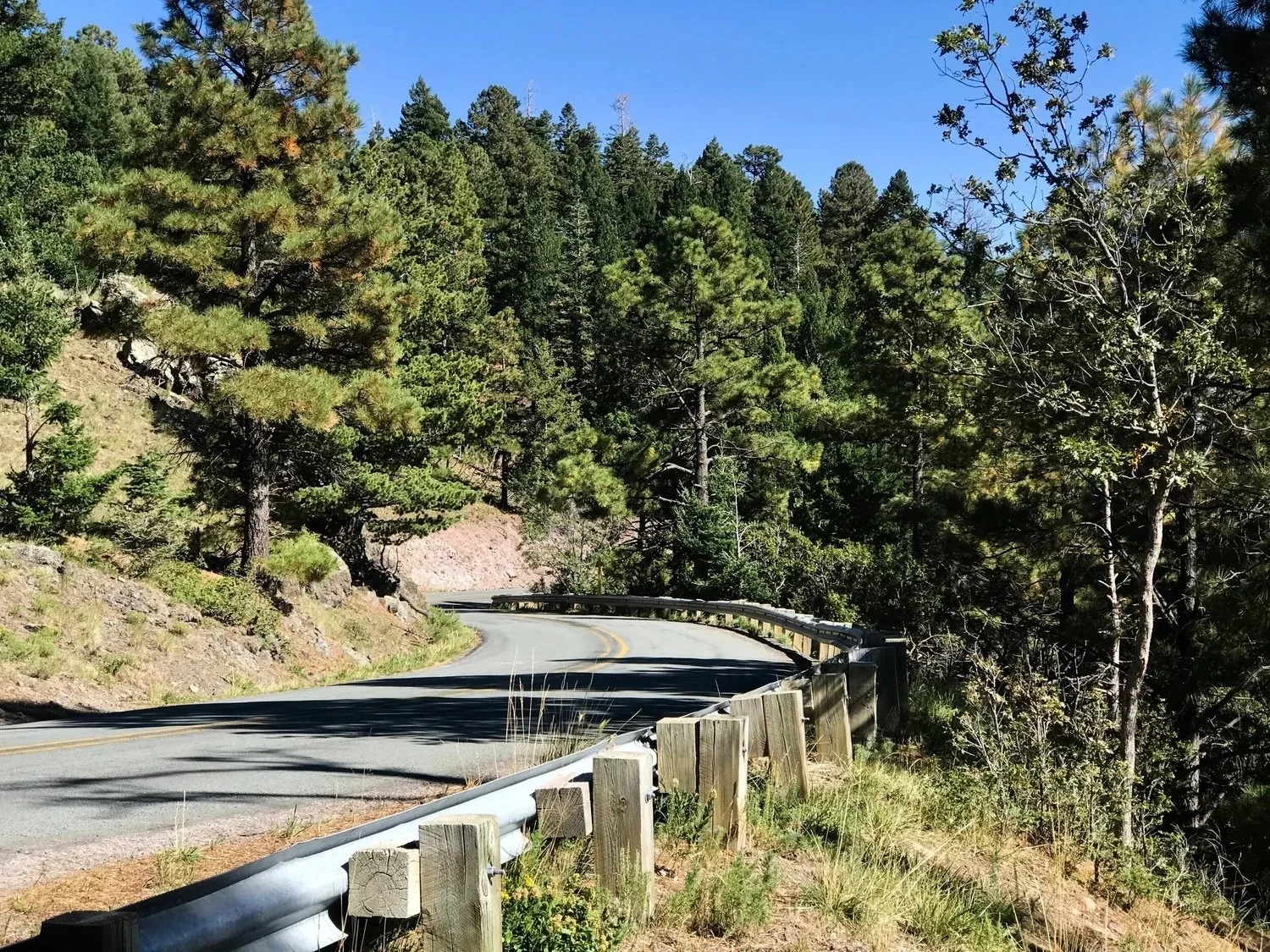 Scenic mountain road winding through pine forest near Ruidoso, New Mexico