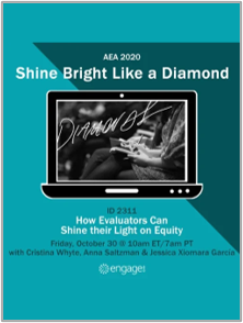 AEA: How Evaluators Can Shine their Light on Equity