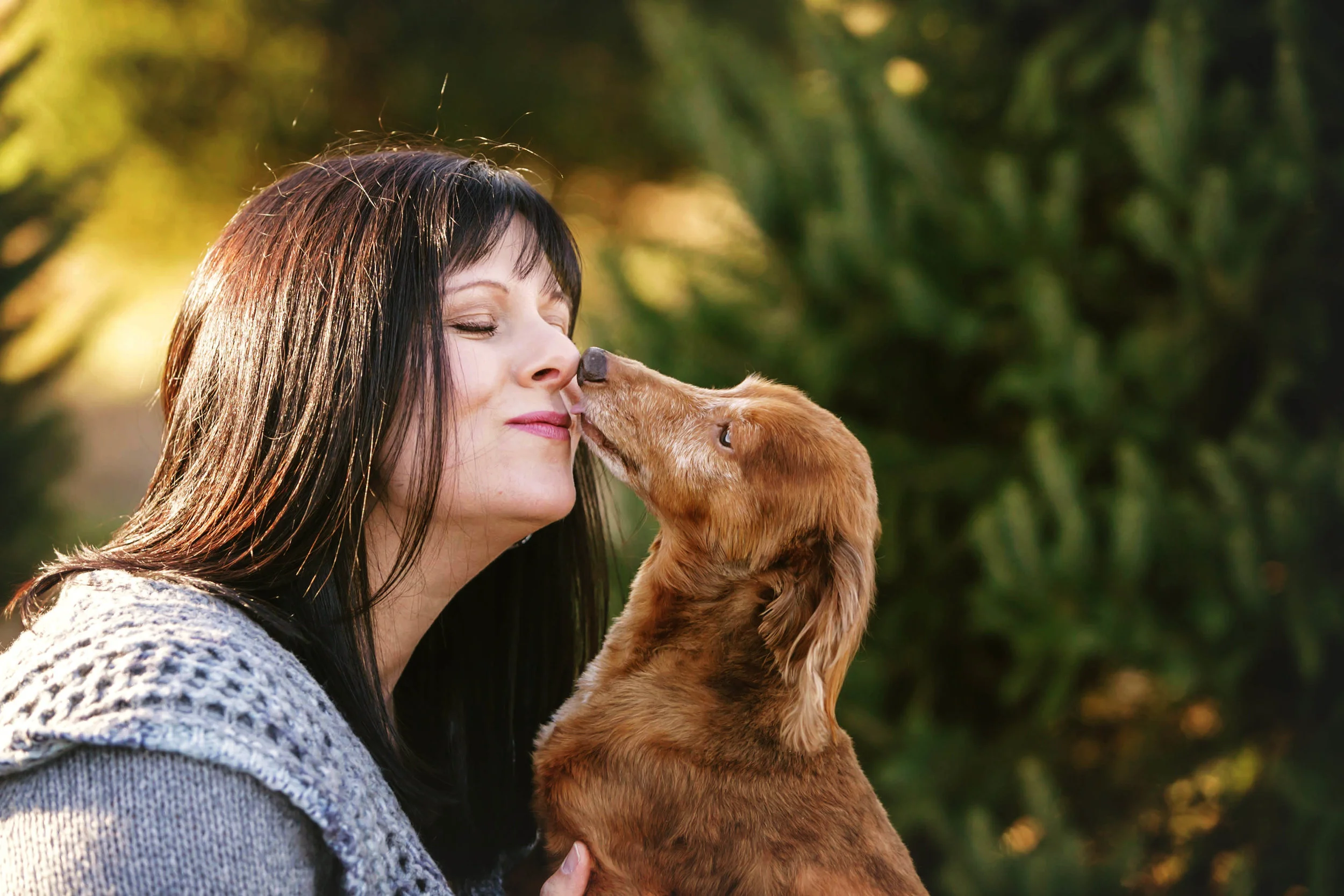 A DOGS DILEMMA PET SITTING CT.JPG