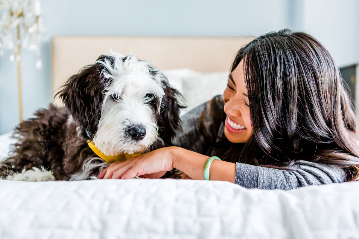 2015_september_dogvacay_highres-397.jpg