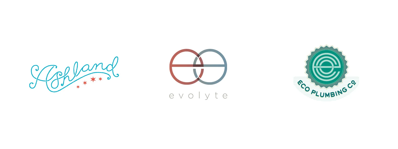 Ashland Leather concept, evolyte marketing, Eco Plumbing Company 