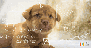 What 90 Days of Strategic Content Marketing Looks Like