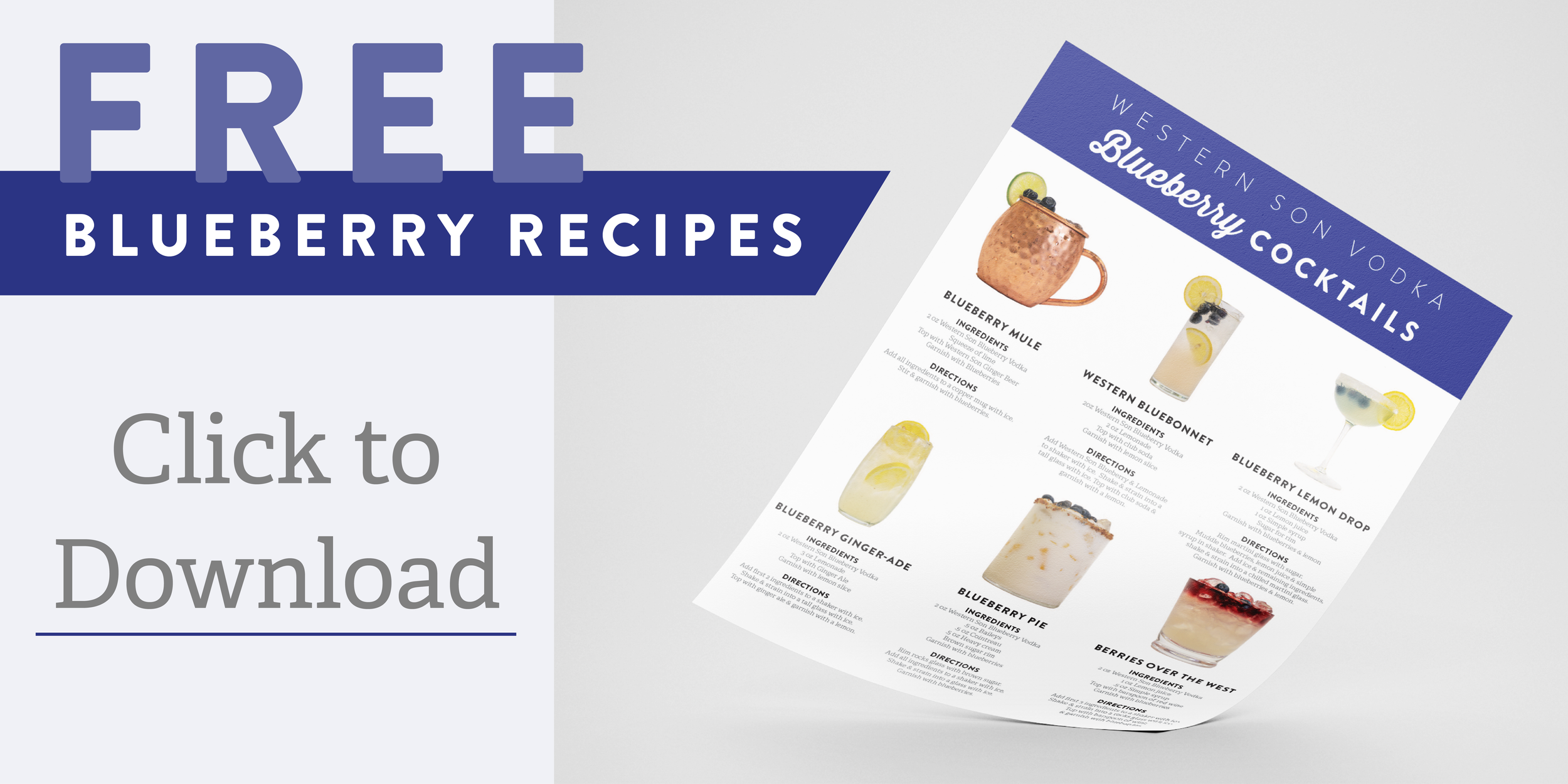 Blueberry Vodka Cocktails — Western Son Distillery