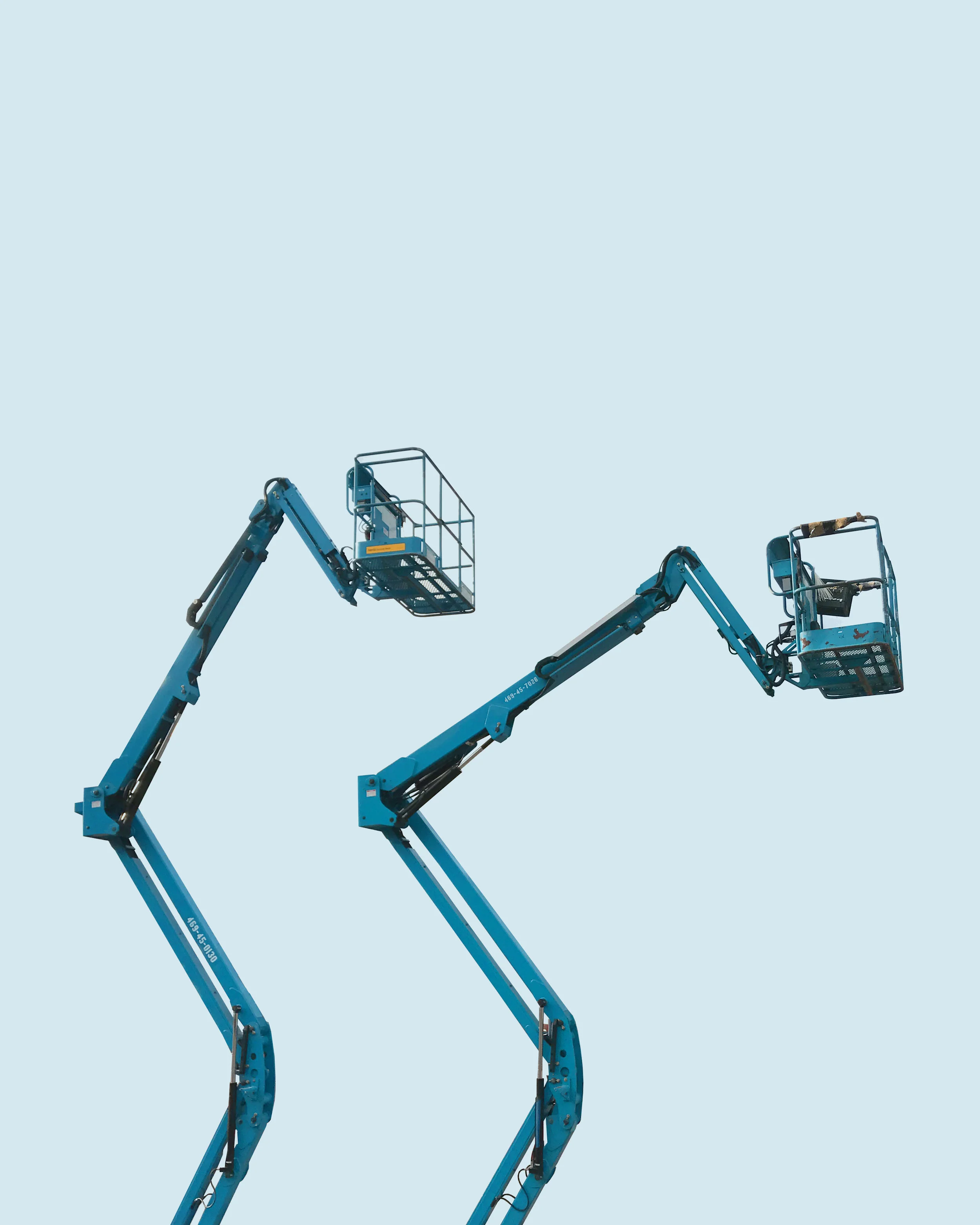 602_BlueCranes.jpg