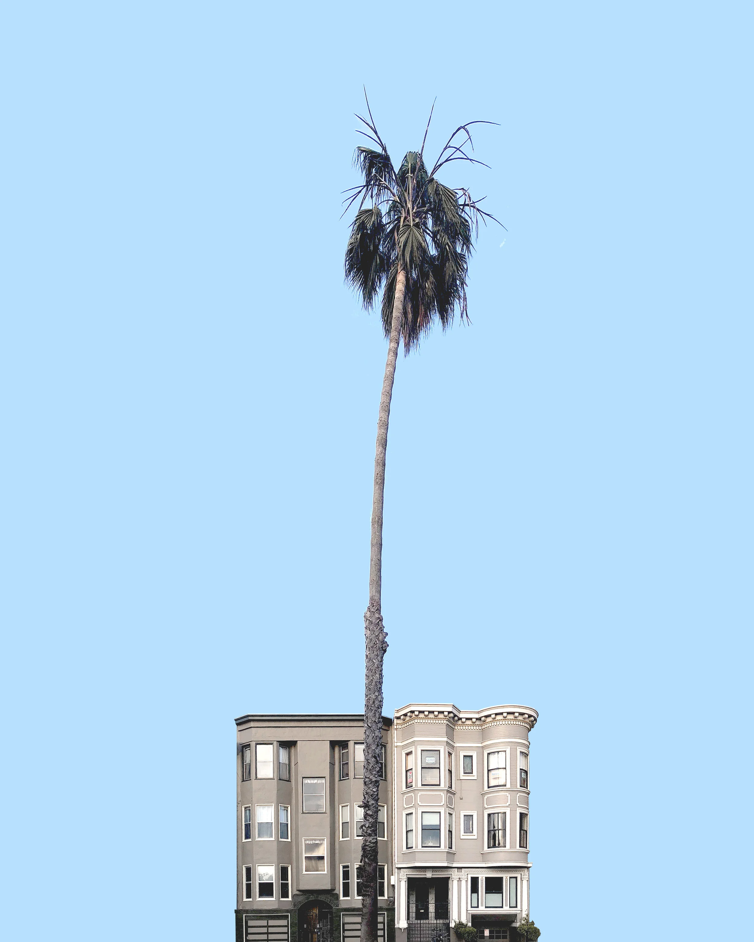 1016 • Perspective, 2018