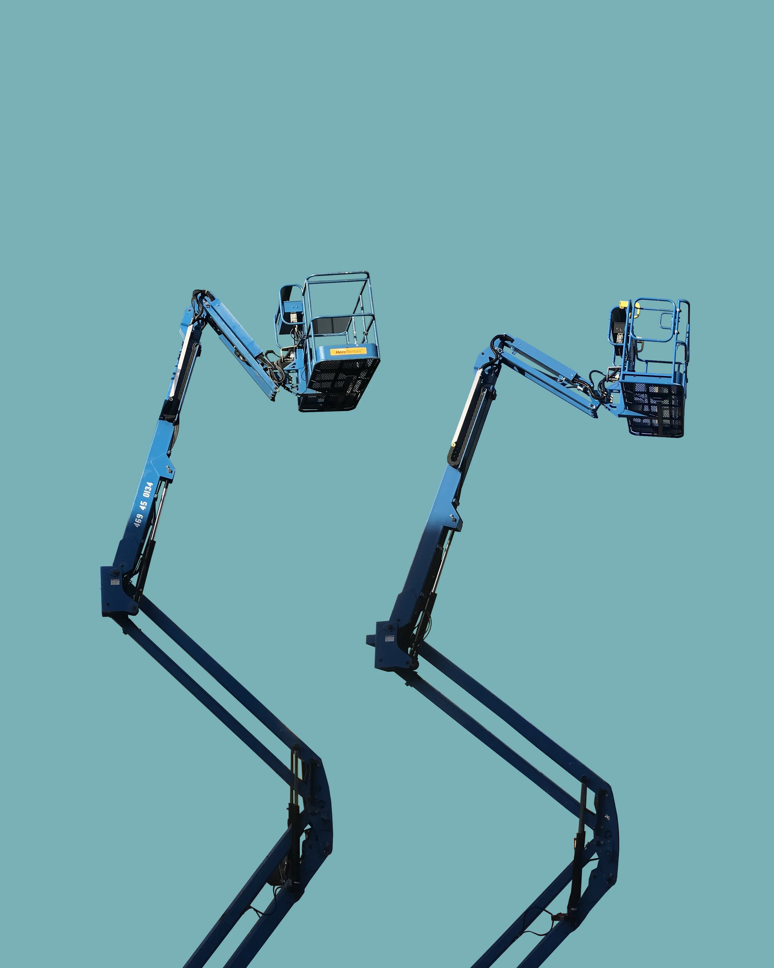 1004 • Cranes in the Sky