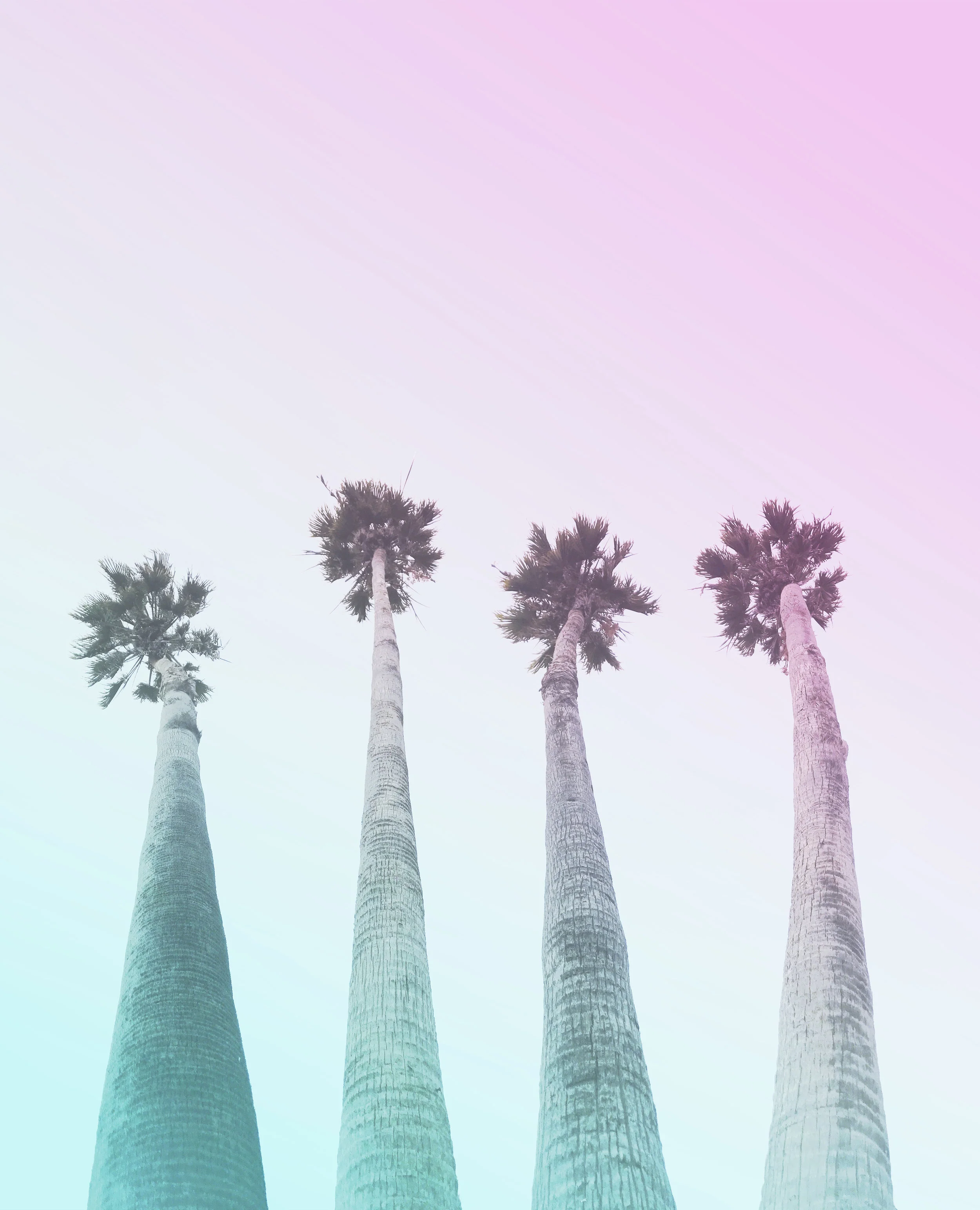 820 • Wave After Wave