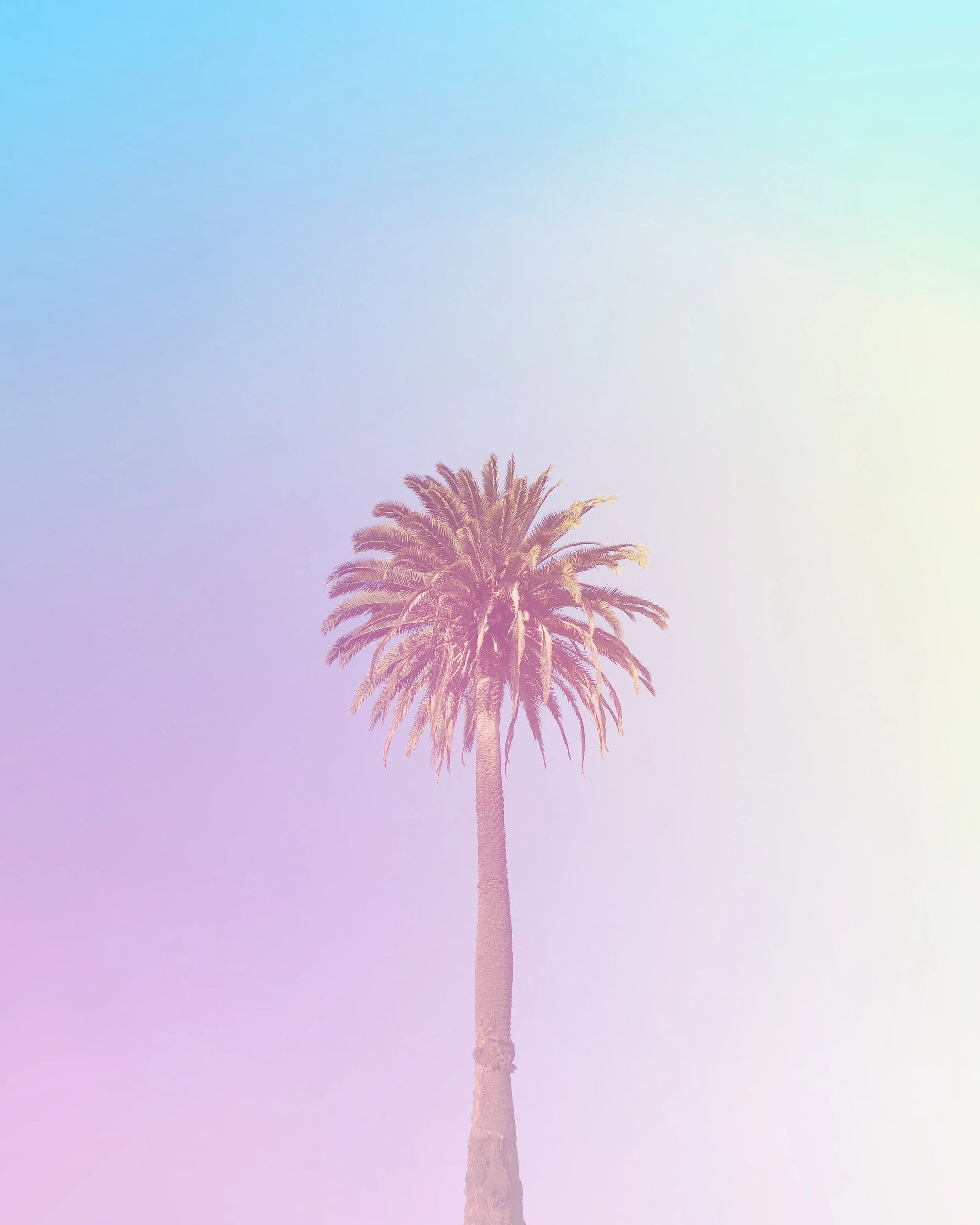 999 • Technocolor Dream