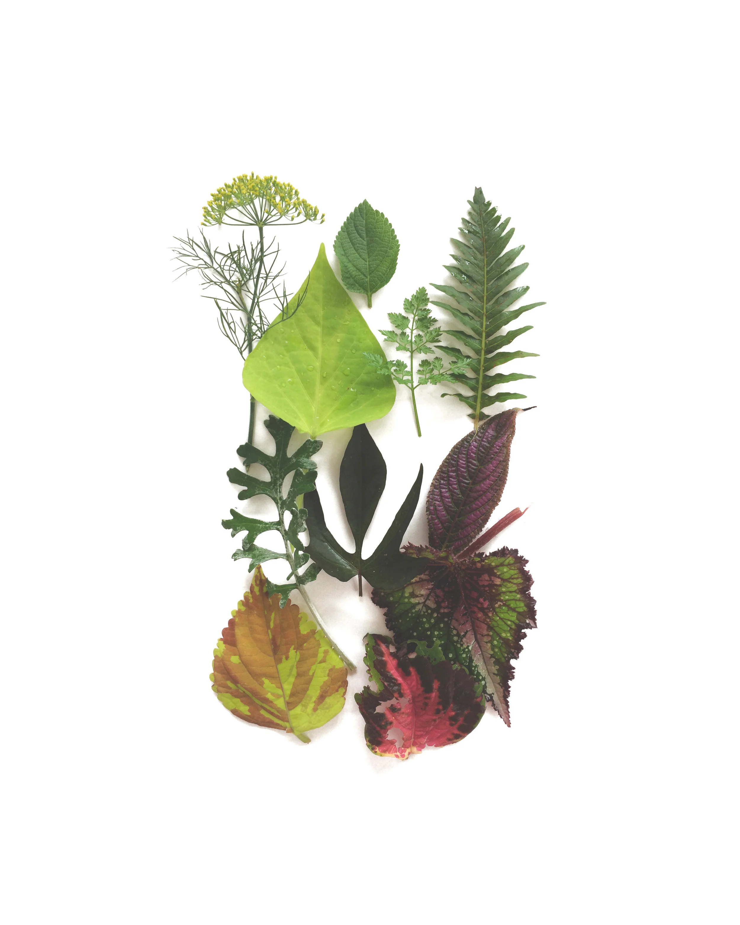 496 • Summer Finds