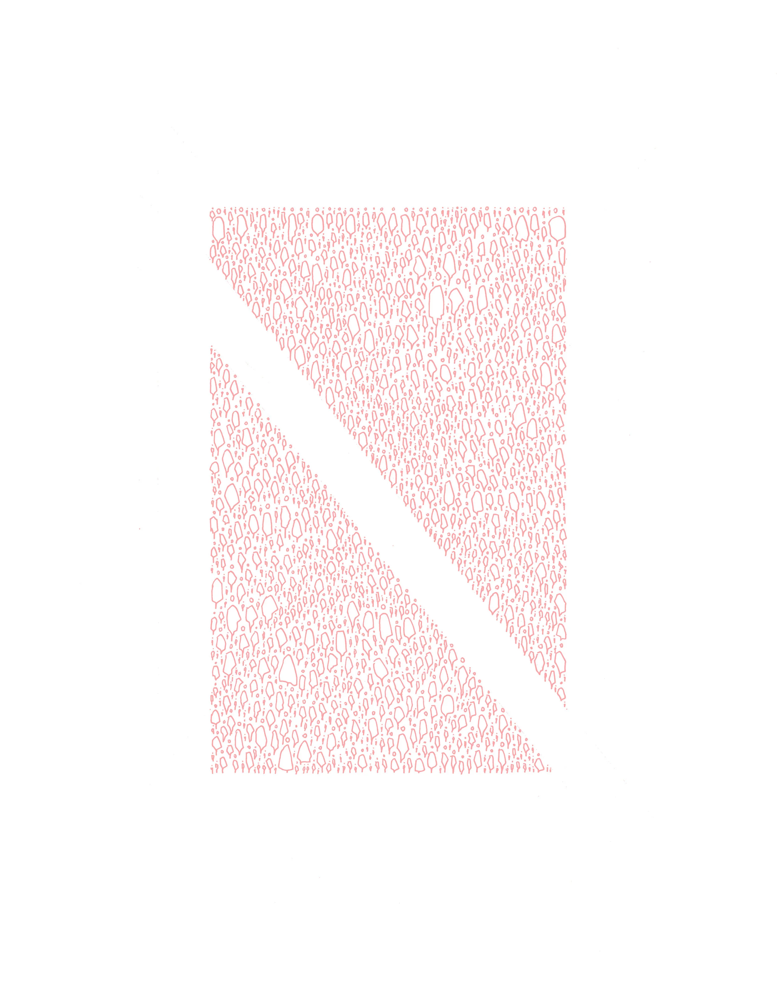 PL_002.jpg