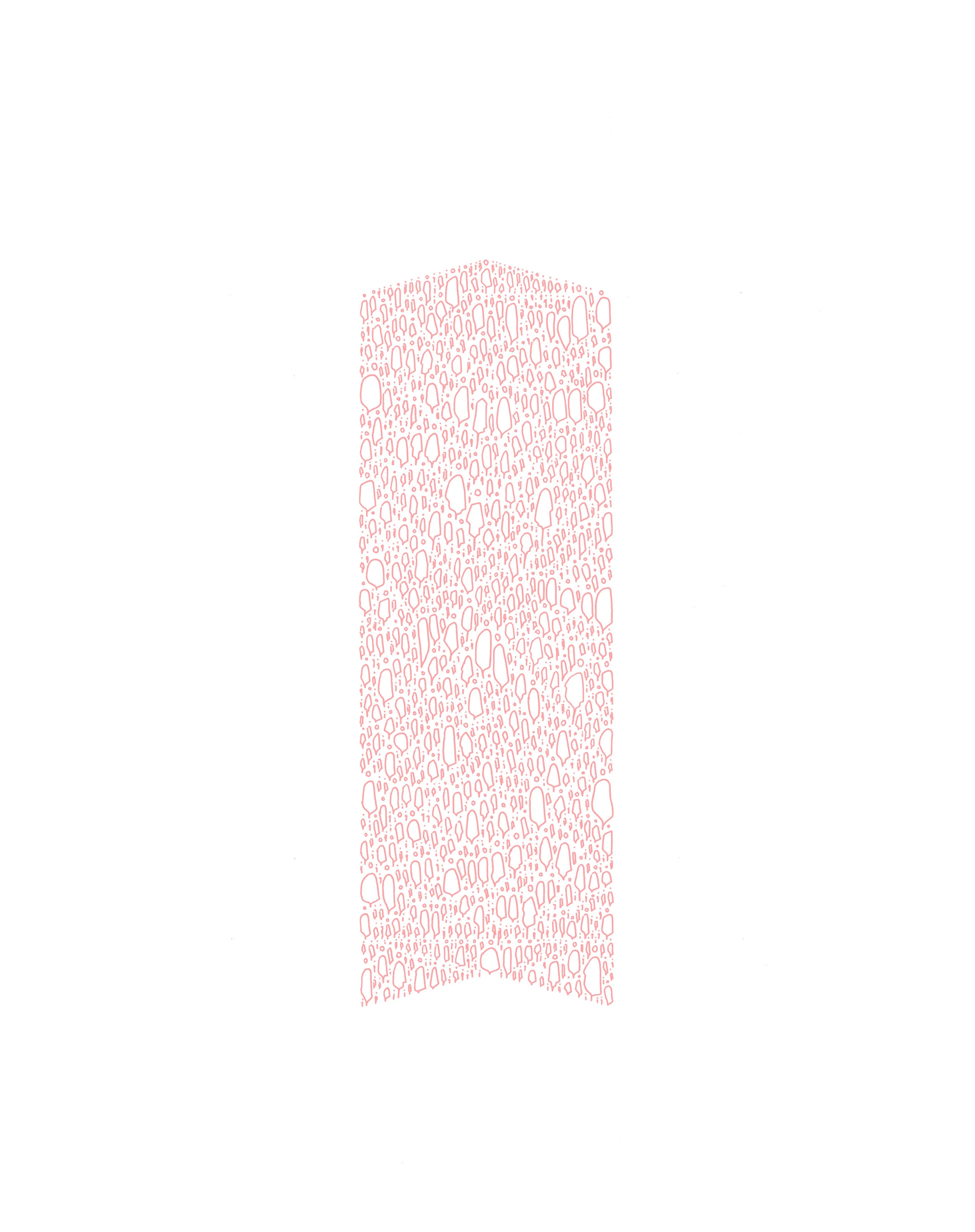 PL_007.jpg