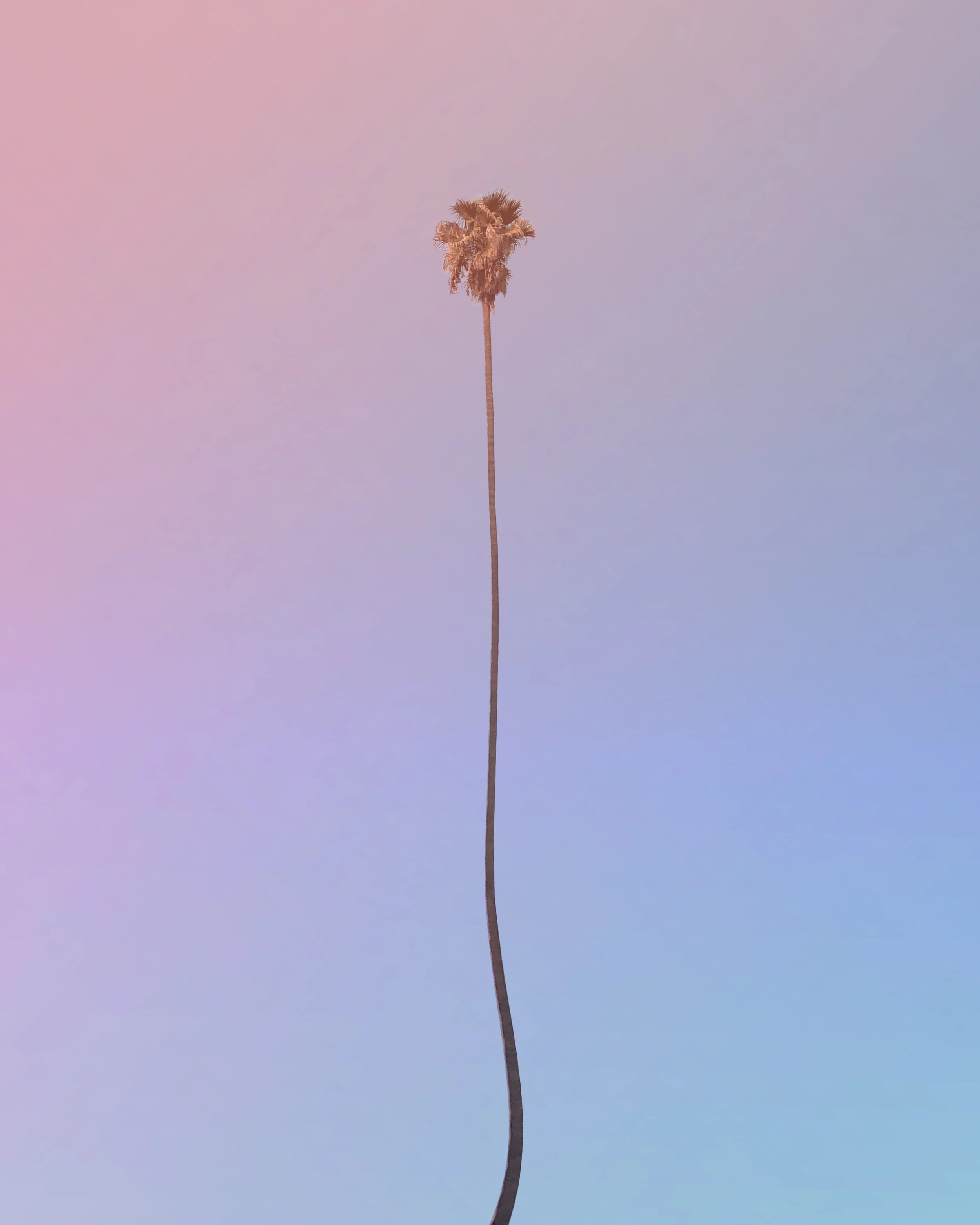 1221_LivingCoral.jpg