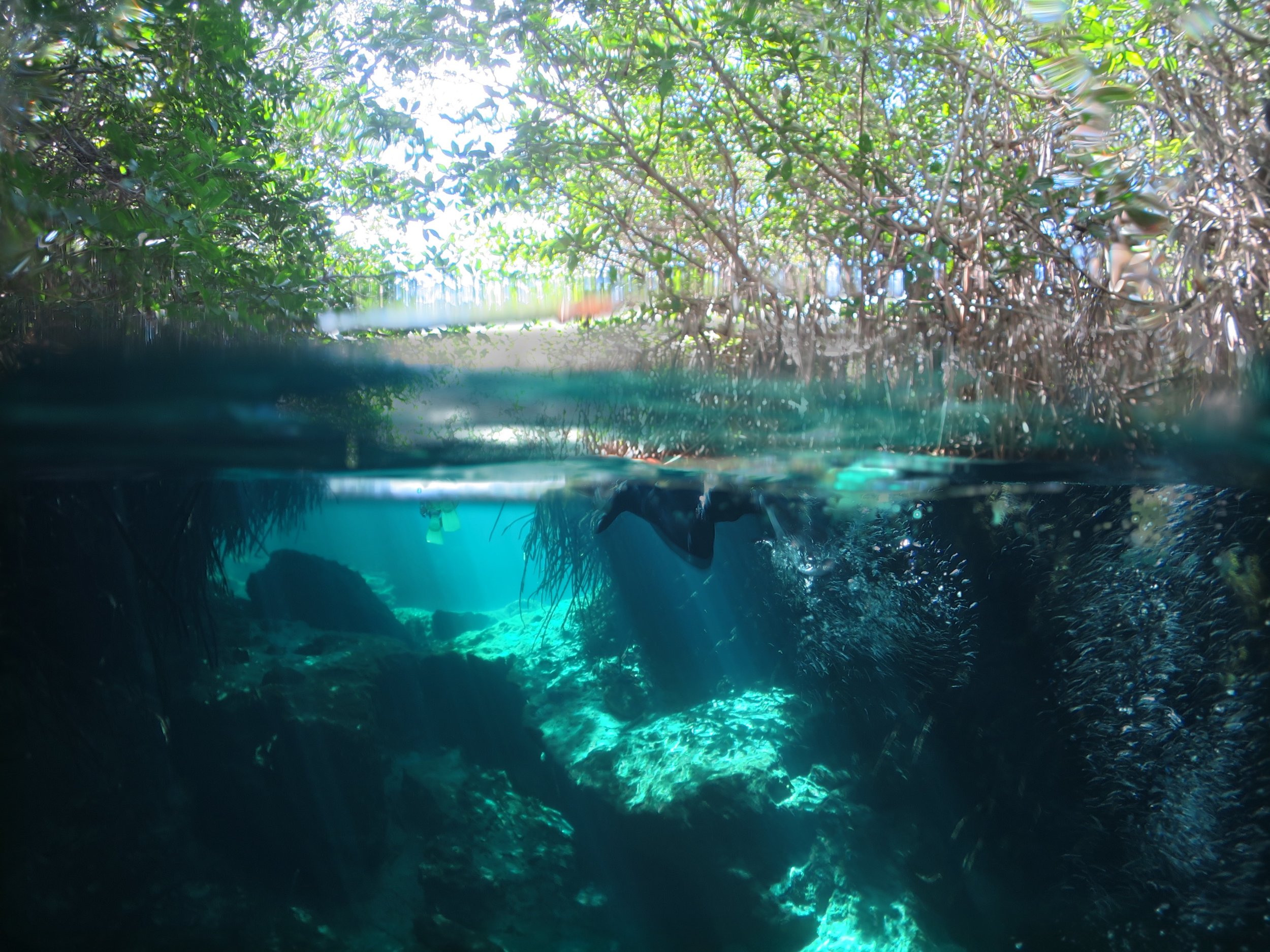 Cenote fun.jpg