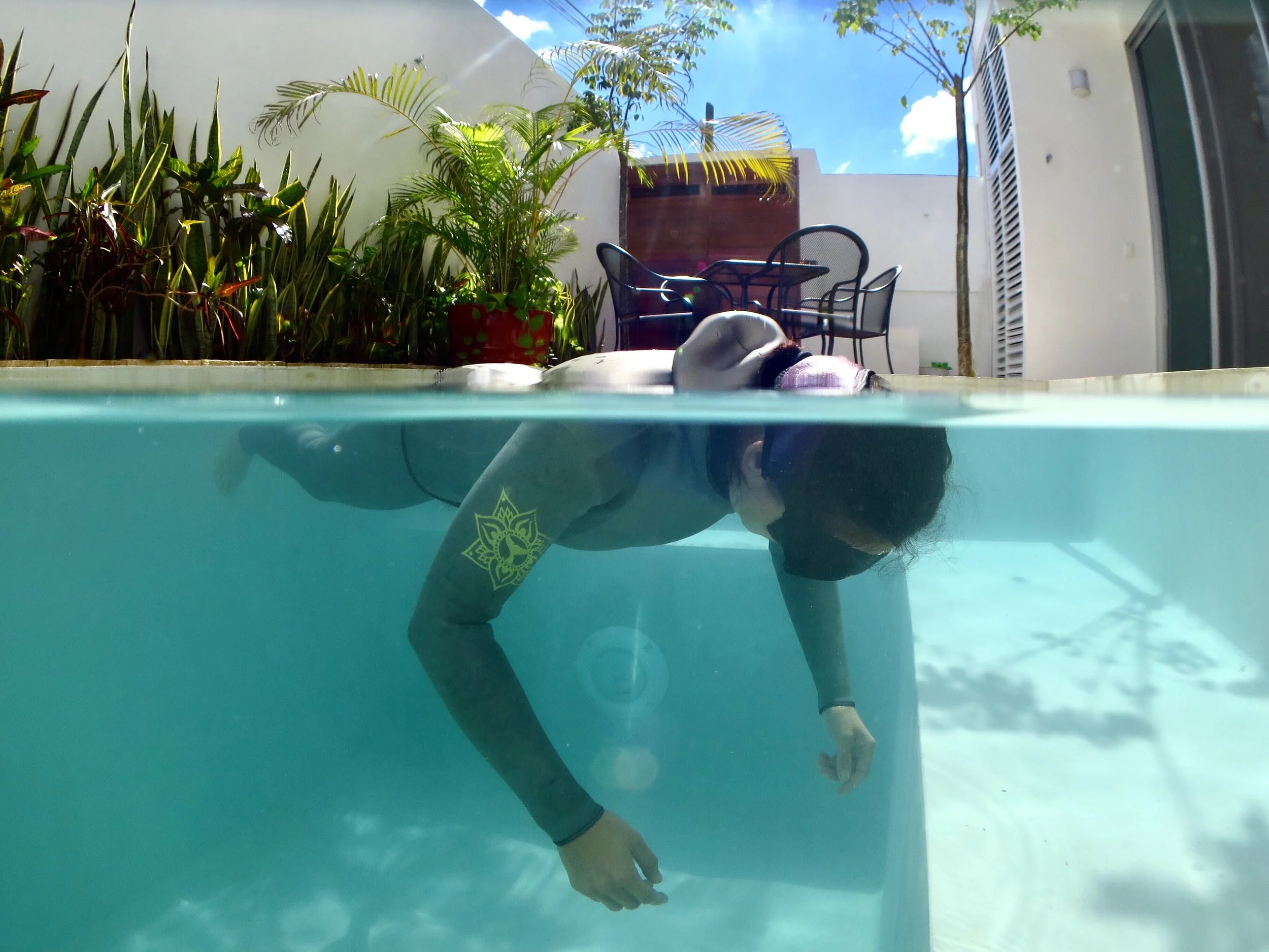 Freediving in Tulum Cenote Freediving, Tulum Cenote, Tulum Molchanovs