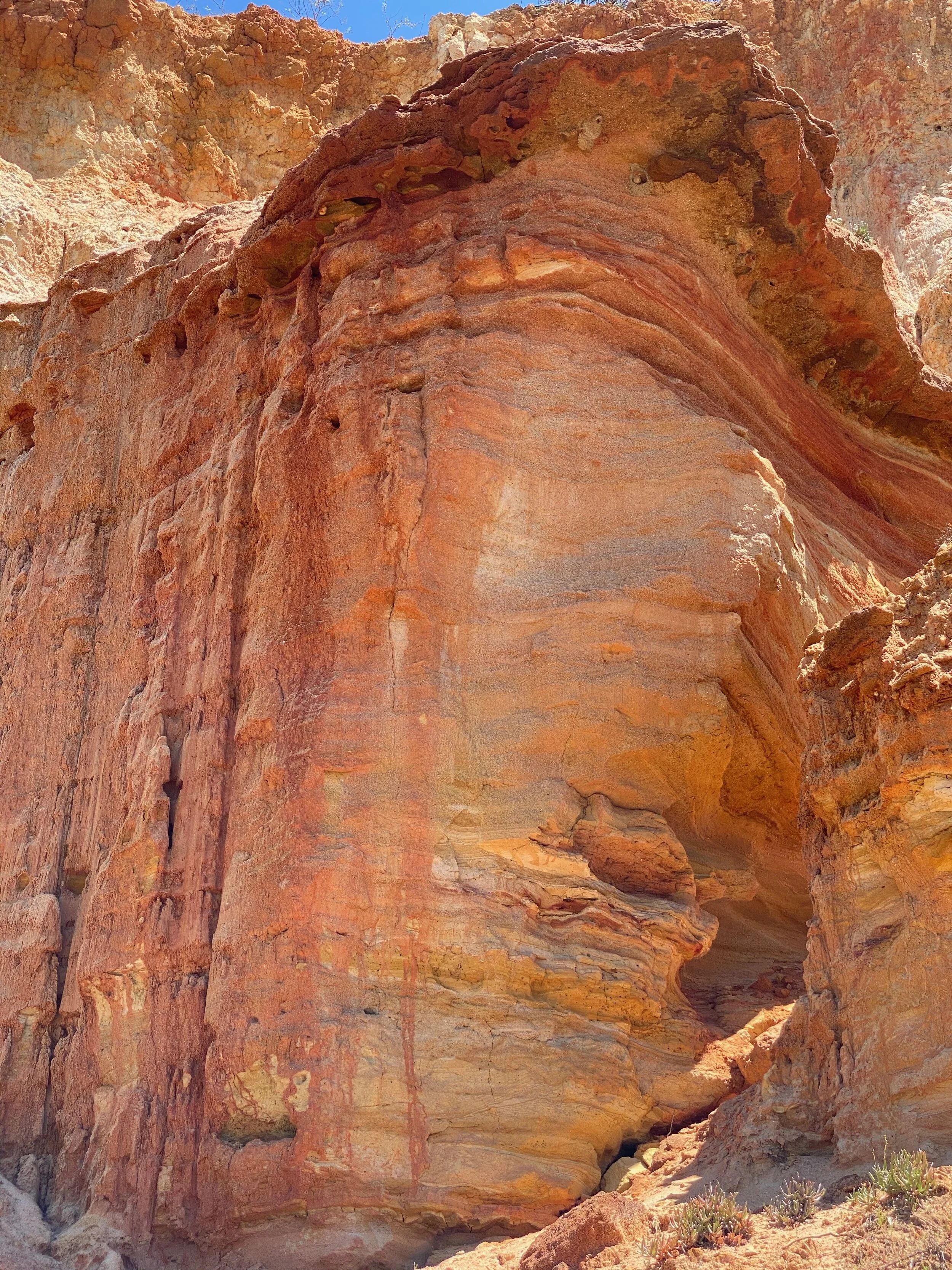  Did I mention there are cliffs? A range of beautiful ochre colours, a painted surface with such presence. This picture was taken on a walk through Wilabalangaloo, a National Trust of South Australia reserve.  https://www.nationaltrust.org.au/    htt