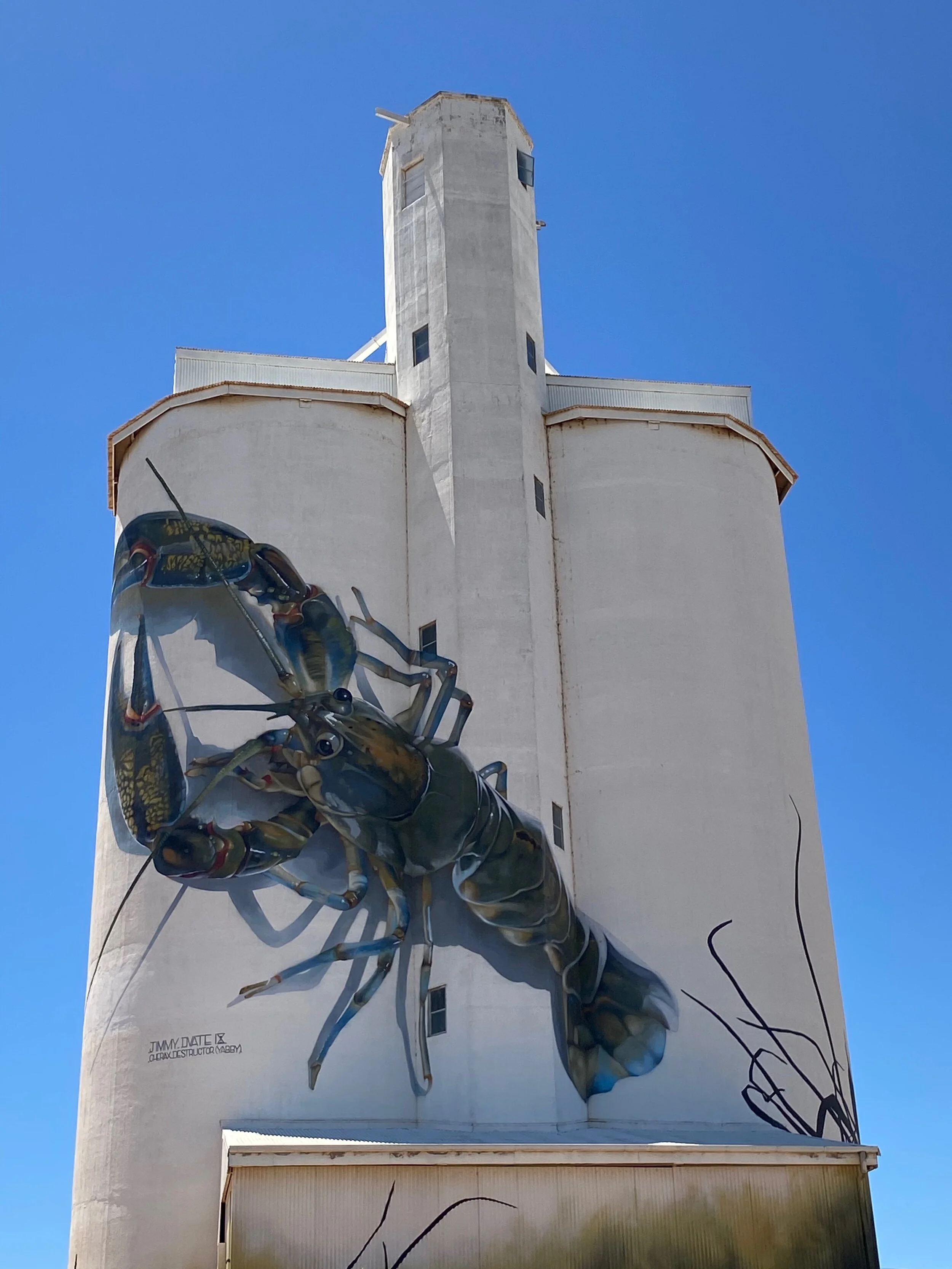  Silo art #1   Yabbies 