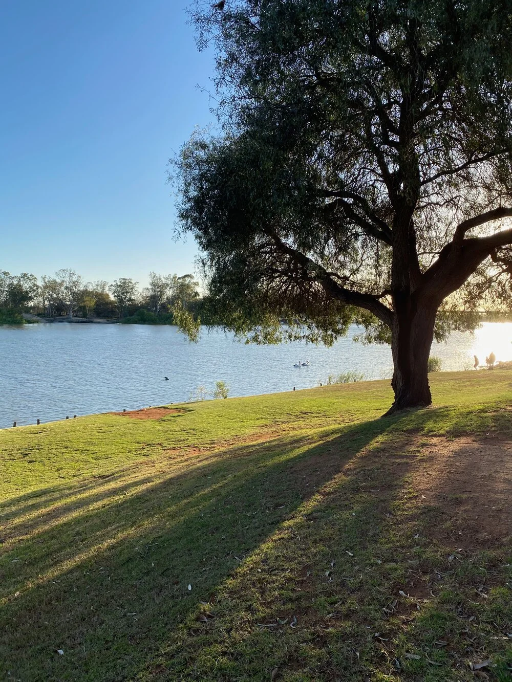 Reconnecting with the Riverland