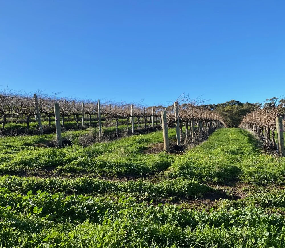 An early spring in the Vale?