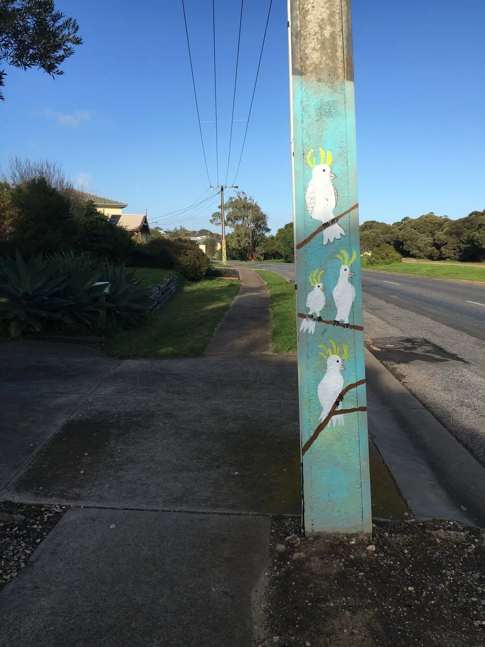 community projects website 7.jpeg