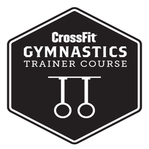 gymnastics-certified-in-home-personal-training-vienna-virginia.jpg