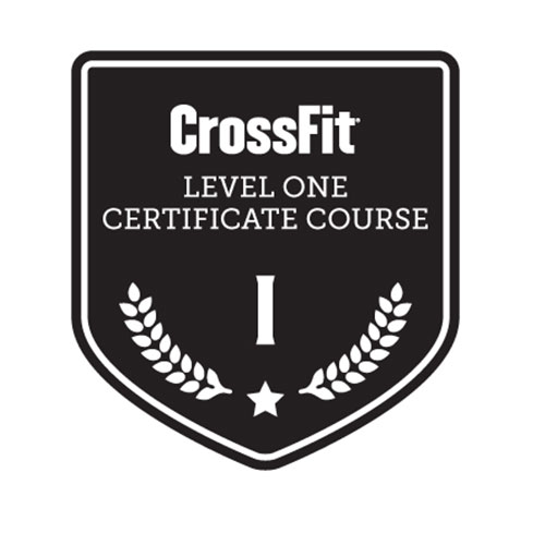 level-1-cross-fit-vienna-virginia.jpg