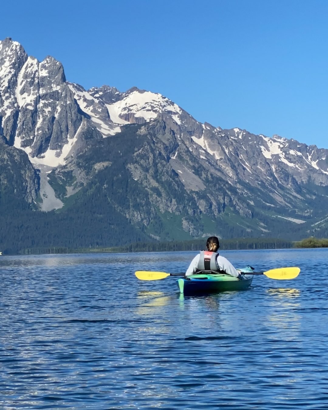 Big news! Impactasnap is thrilled to partner with @thegiddygroup to support the @neforestry (NEFF)!

We&rsquo;re turning joy into impact with our new campaign: every time someone posts a favorite moment in nature, The Giddy Group will donate $5 to NE