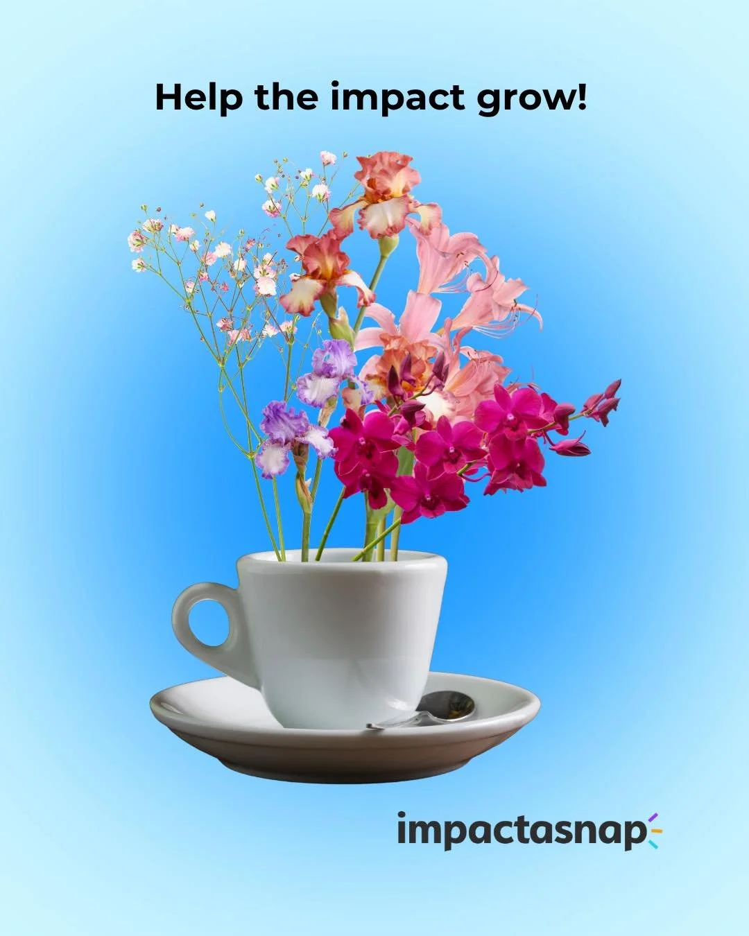 Help the impact grow! 🌻

Check out our last post to see how you can help raise money for @cococoalition - just by posting! It&rsquo;s no cost to you, thanks to @mimoscoffee.co ☕️❤️

Stay tuned for more opportunities where YOU can help make a positiv