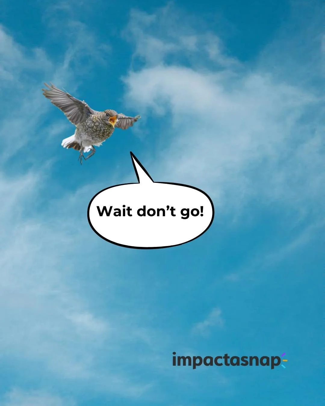 A little birdy told me that you should go check out the new Post On Purpose! 🐤

In this edition, we&rsquo;re talking about the history of coffee as well as the effects of climate change on the current coffee industry. ☕

Did you know you can help ma