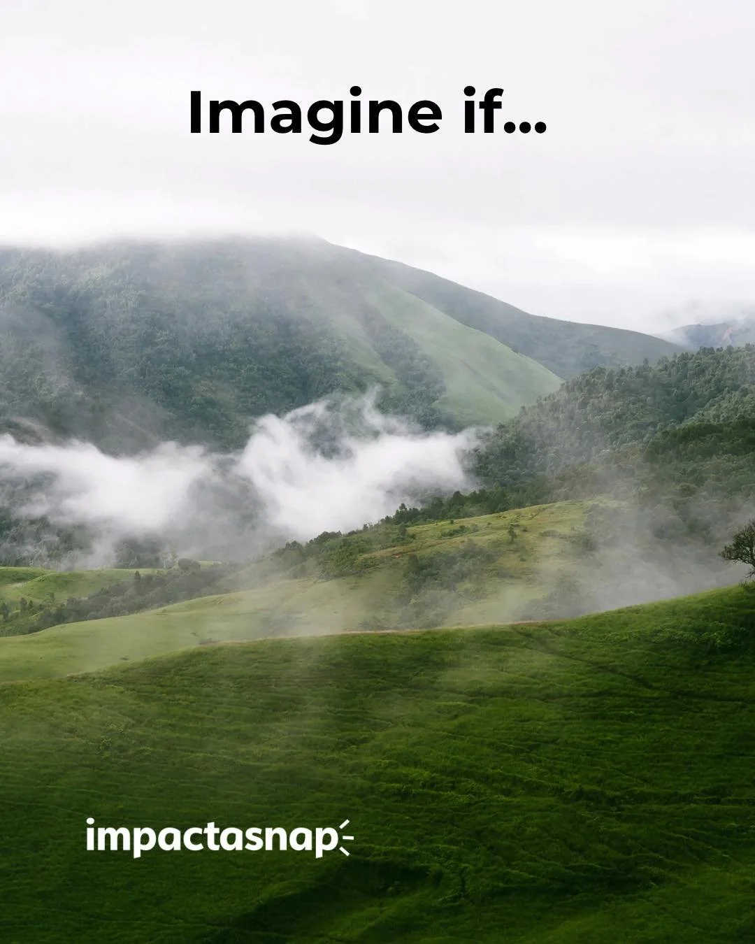 IMAGINE IF&hellip; ✨
climate action felt accessible instead of overwhelming?

Imagine if every climate awareness post helped turn attention into action, supporting community climate projects, reforestation efforts, clean energy initiatives or climate